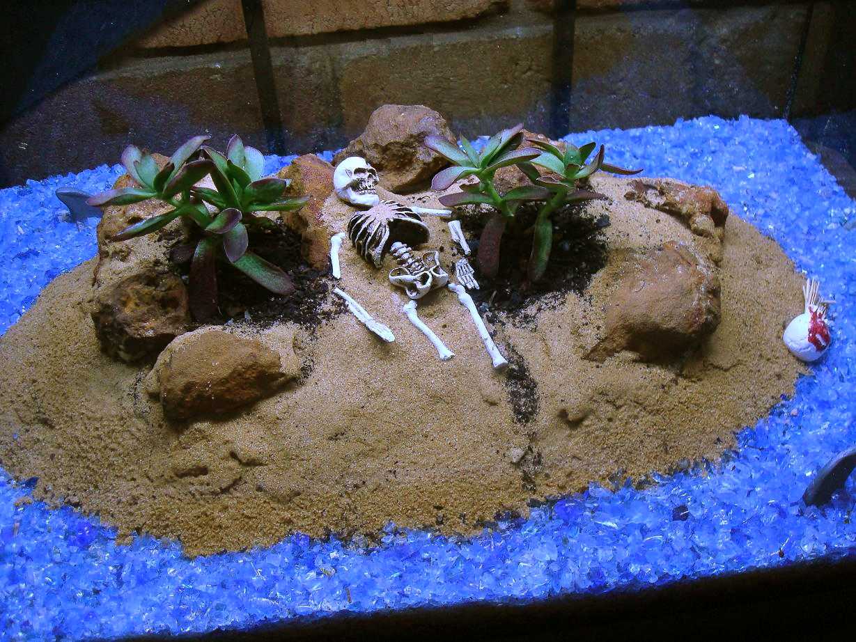 Tank castaway 