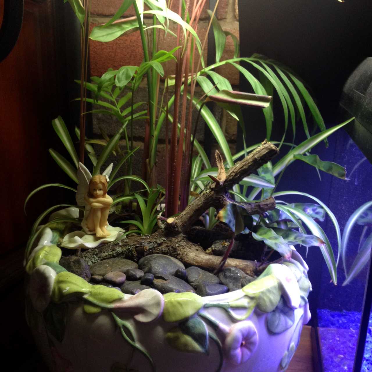 Gay pot fairy 