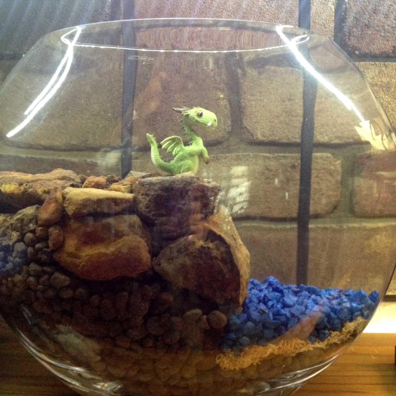 Bowl Dragon new 