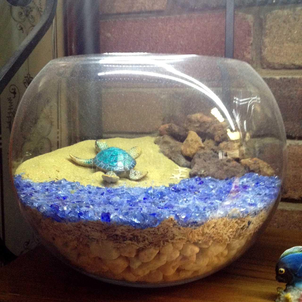 Bowl Turtle new 